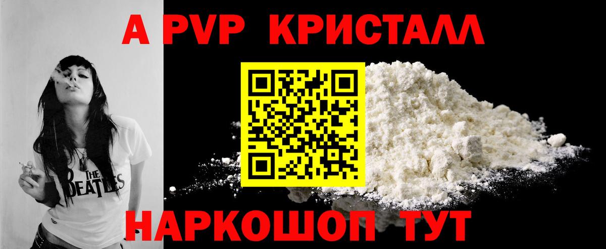 A PVP СК КРИС Великий Устюг