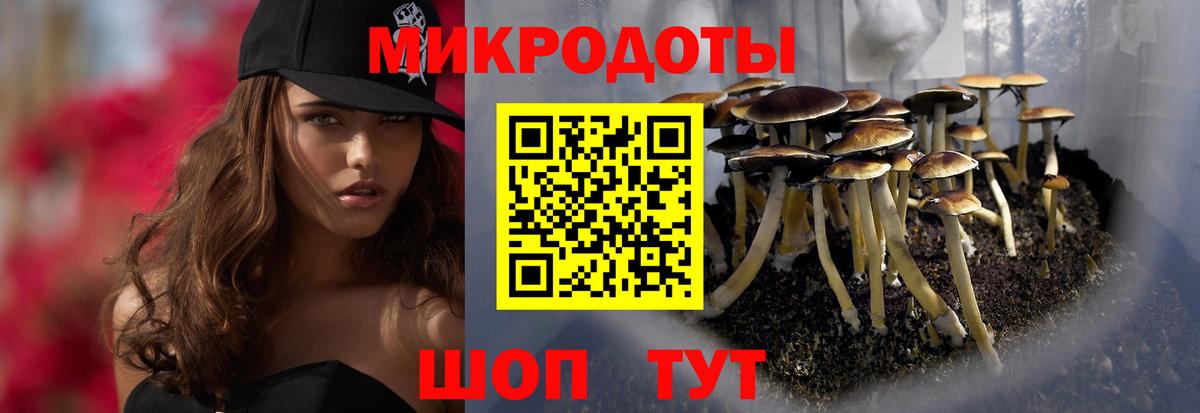 Псилоцибиновые грибы Cubensis Великий Устюг