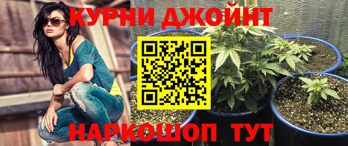 Марихуана LSD WEED  Шишки марихуана гибрид  Великий Устюг  Вход с VPN 